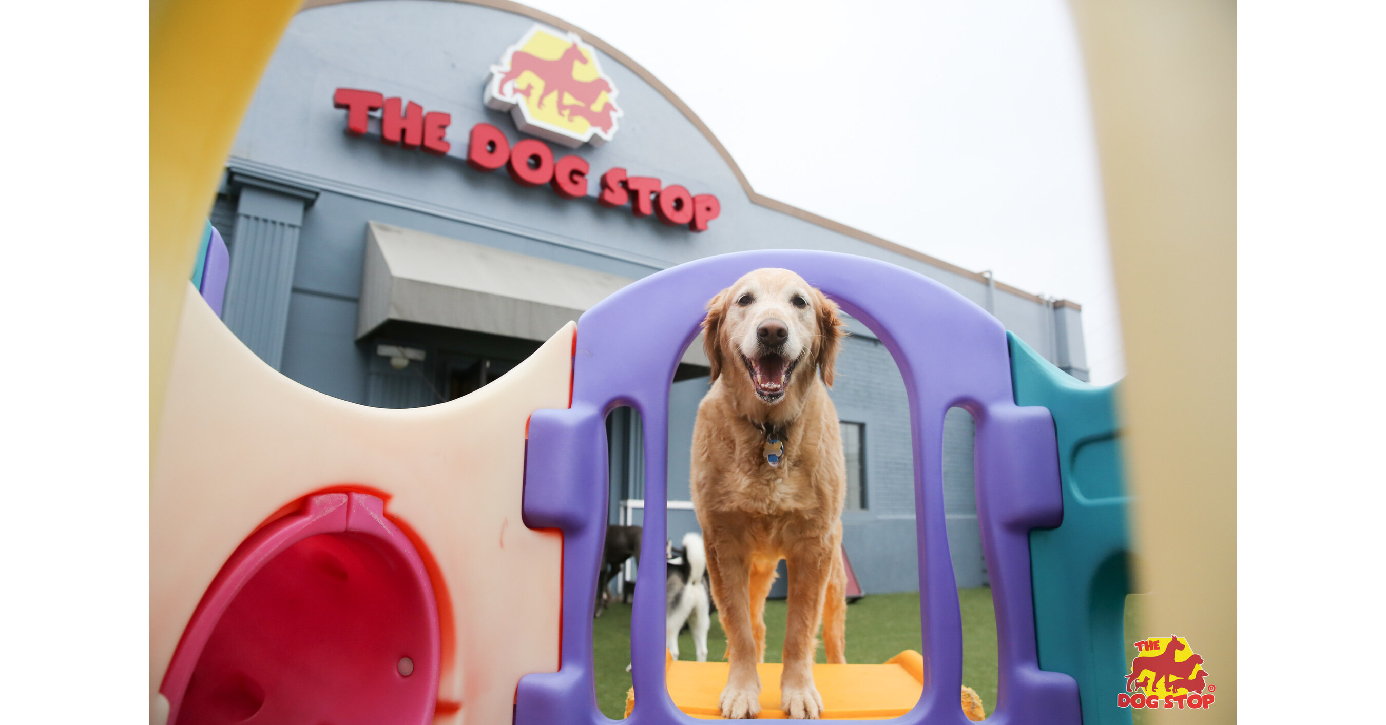 The Dog Stop expansion in Dallas with new franchise agreements for Central and North Dallas